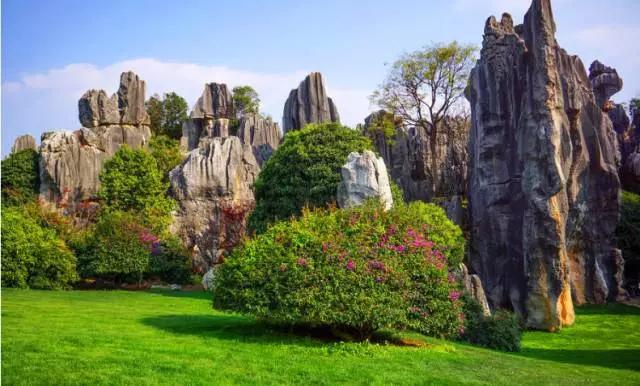 1548830793827554.jpg 石林8.jpg