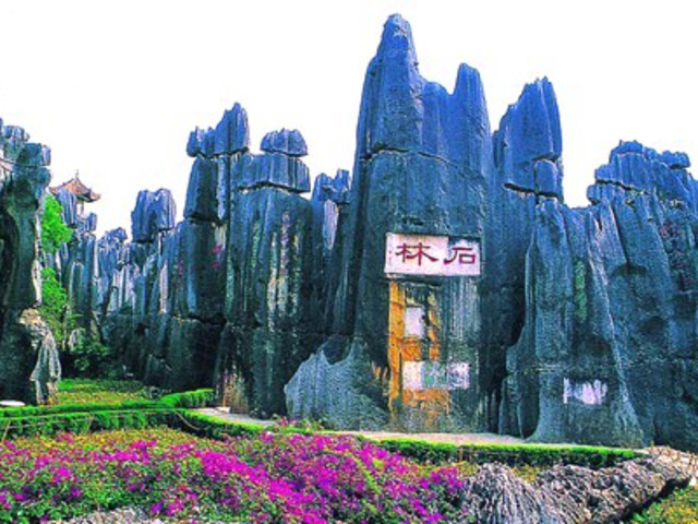 1551172960623273.jpg 石林.jpg