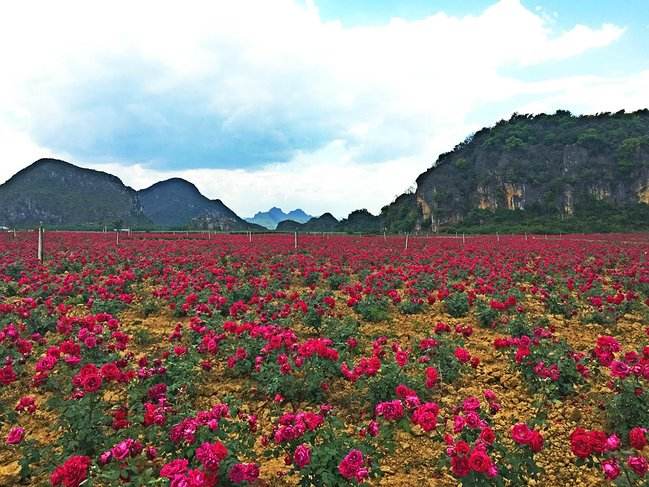 1551690426216381.jpg 微信图片_20190304170905.jpg