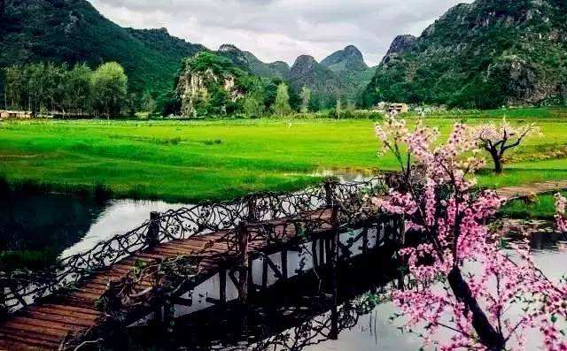 1551690690945771.jpg 微信图片_20190304171316.jpg