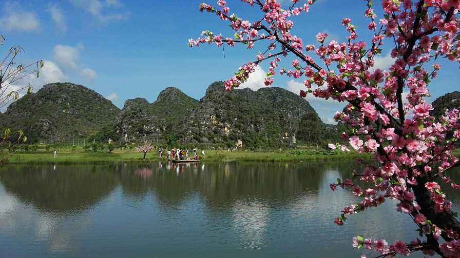 1551690694463353.jpg 微信图片_20190304171321.jpg