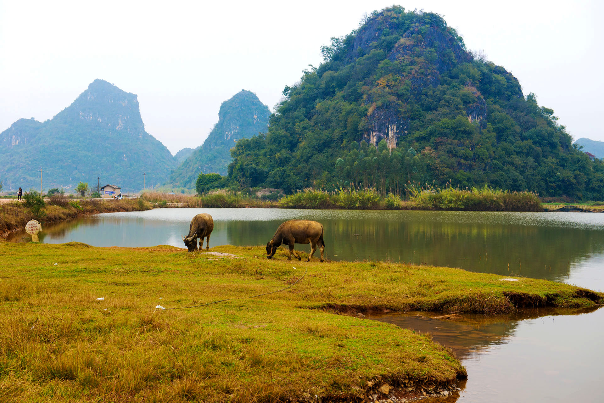 1551690915147507.jpg 微信图片_20190304171708.jpg