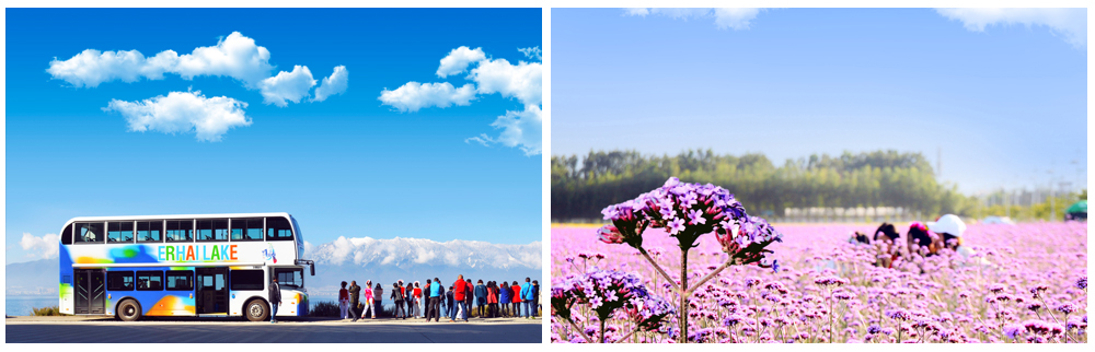 1552465744529782.png 图片22.png