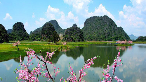 1553054043317339.jpeg 三生三世十里桃花564.jpeg