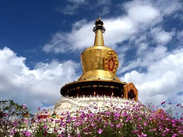 1553738890369151.jpg 4.jpg