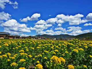 1559697846306690.png 图片3 (2).png