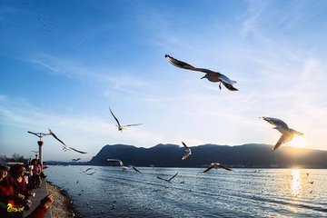 1564043395820083.jpg 滇池大坝.jpg