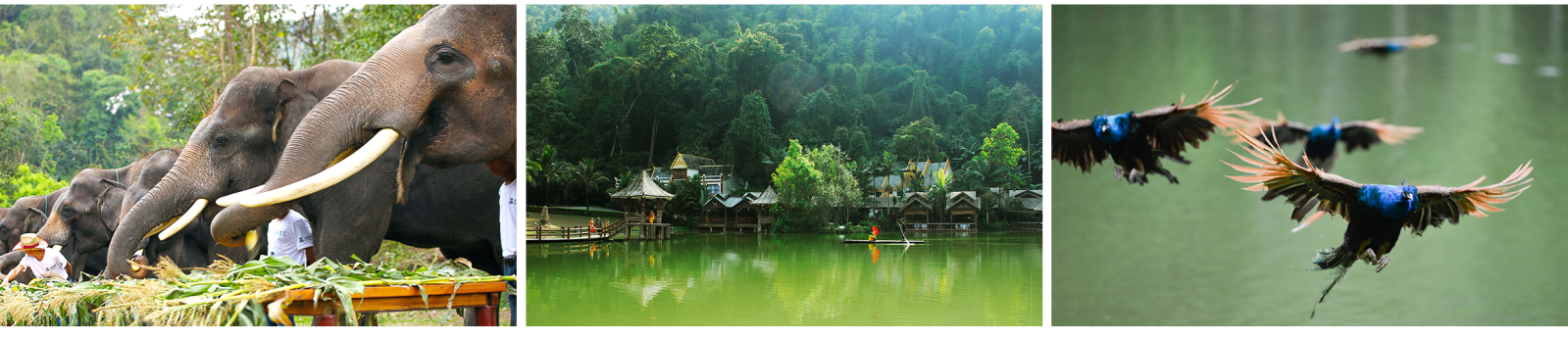 1566728844601819.png 图片3.png