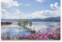 1566729321593155.png 图片8.png