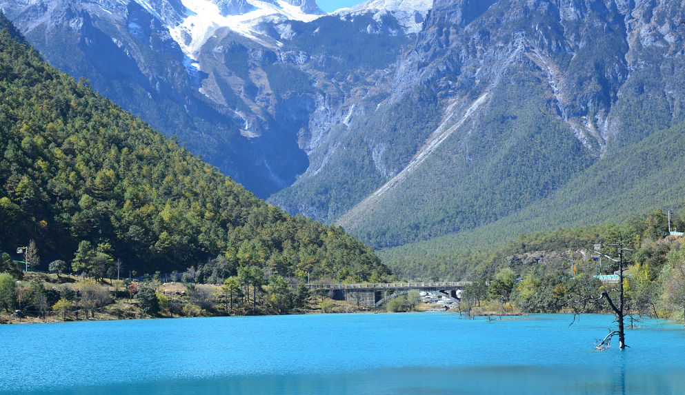 1572606481384112.png d996f385.png