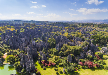 1572607924918702.png 983558cb258c1f8ecfda78b7eaa2da9.png