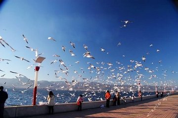 1575624930638611.jpg 滇池大坝2.jpg