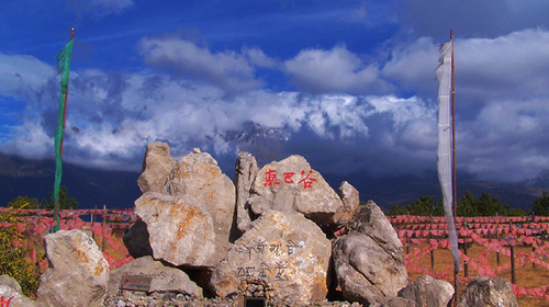 1575699660918597.jpg 东巴谷2.jpg