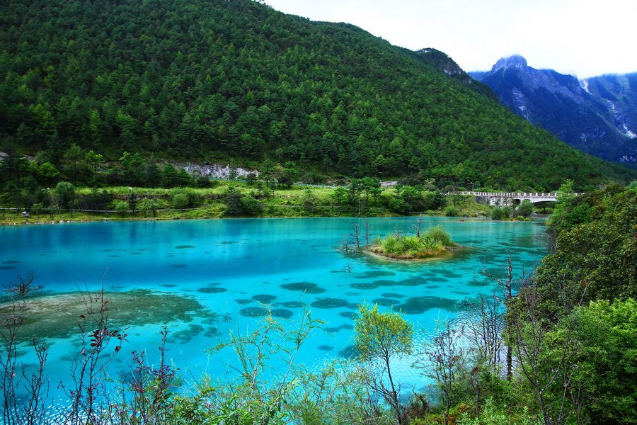 1575699693226965.jpg 38615530_38615530_1410781056265_mthumb.jpg