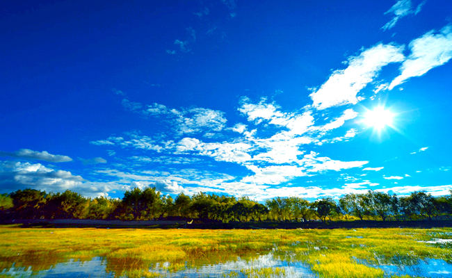 1593400701516907.jpg 拉市海3.jpg