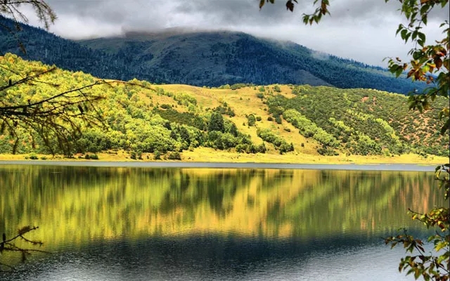 1593403812568871.jpg 微信图片_20200629120959.jpg