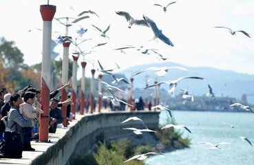 1594019335571005.jpg 滇池大坝3.jpg