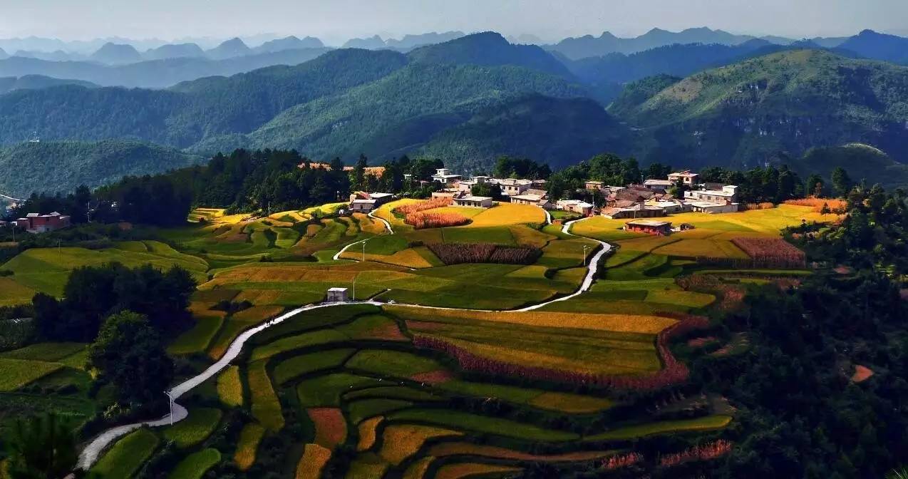 1595496887896844.jpeg 贵阳.jpeg