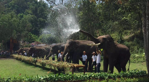 1596184758776700.png 野象谷5.png