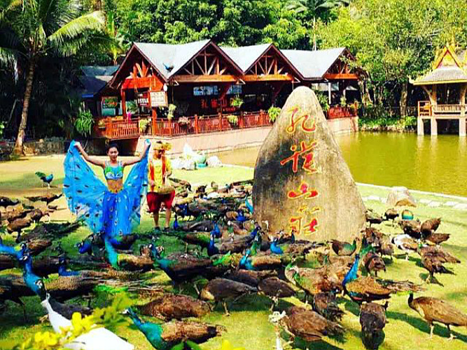 1596768929140017.jpg 原始森林.jpg