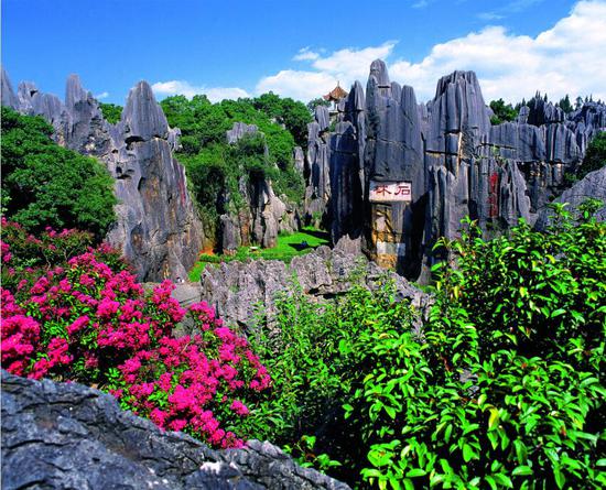 1596770378204988.jpg 石林.jpg