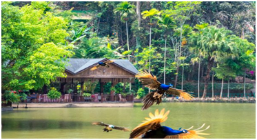 1596794550276475.png image.png