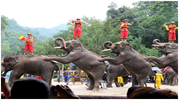 1596794636868410.png image.png