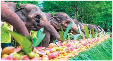 1596794642829483.png image.png