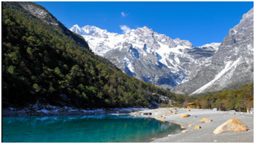 1596794943943906.png image.png