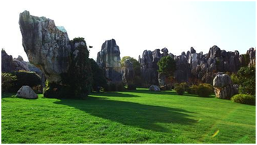 1596795150724769.png image.png