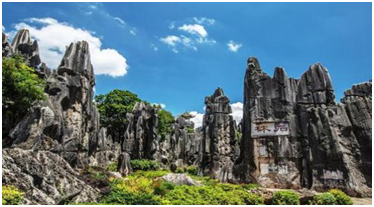 1596795158187925.png image.png