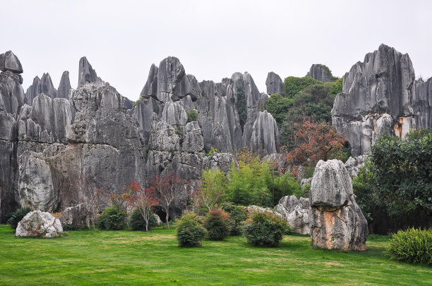 1600592827194366.jpg 微信图片_20200610112514.jpg