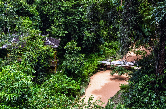 1600769451281999.png 野象谷1.png