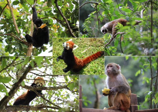 1601019958307985.jpg U8594P704DT20131120142353.jpg