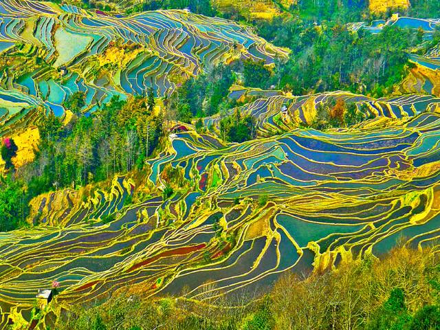 坝达梯田.jpg