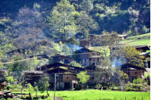 1605521043485017.png image.png