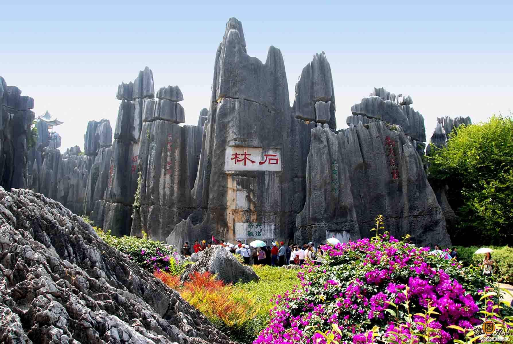 1606116447883679.jpg shilin.jpg