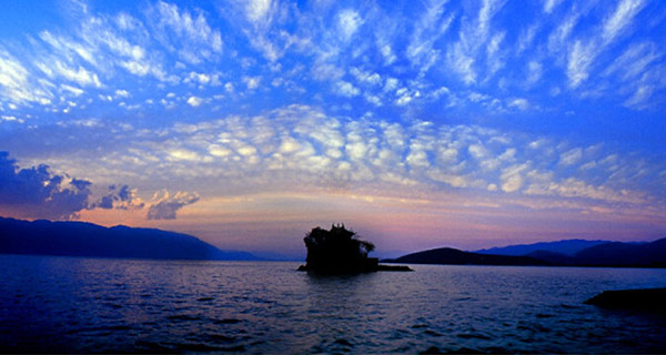 1606116536501598.jpg e8BF8B.jpg