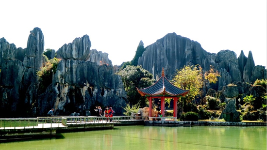 1607570430253286.jpg pwPf-fyixhyw8427083.jpg