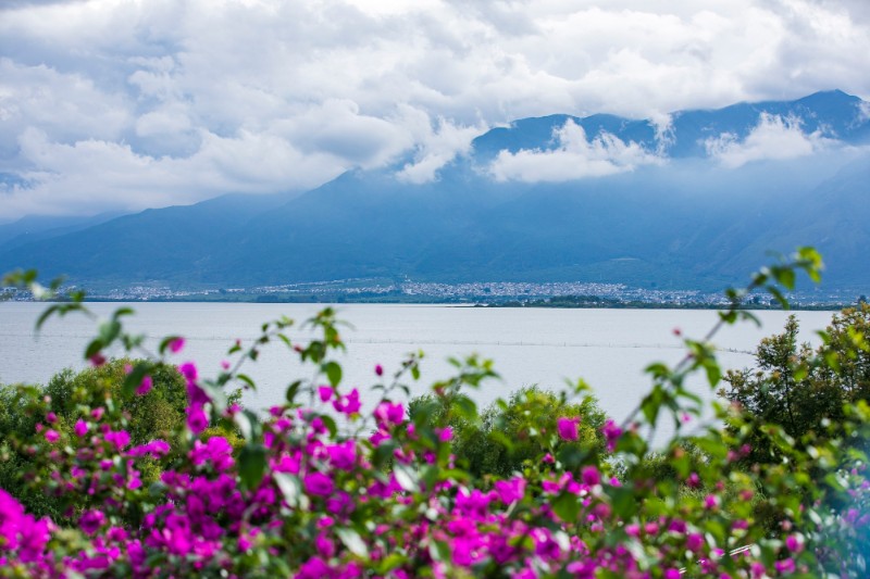 1608604616184950.jpeg 01ffa08e905643f5a28a396b4438146d.jpeg