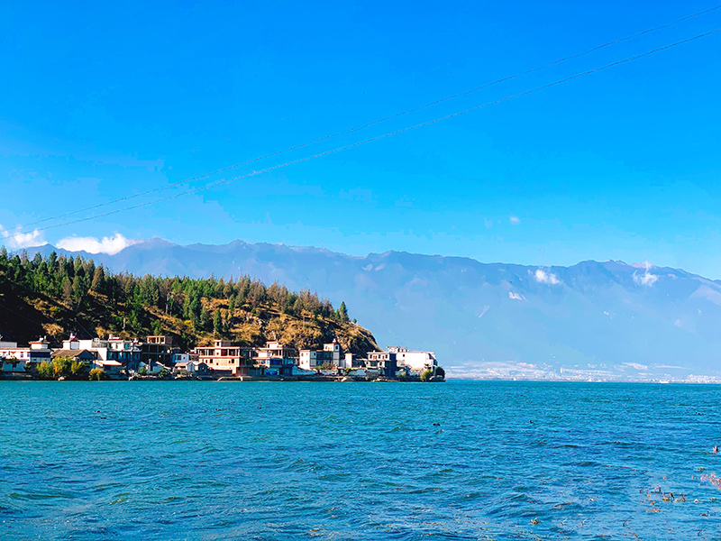 1608606677444805.jpg 50-2011241554033.jpg