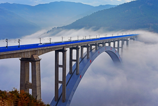 1609918139404035.jpg c8ed2d51-1dc7-4f87-9509-124e2b9d5a0e.jpg