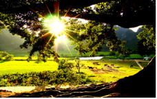 1615002272485284.png image.png