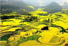 1615002389633093.png image.png