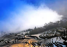 1615002511323551.png image.png