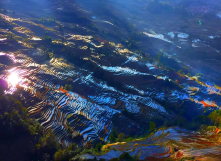 1615002521506526.png image.png