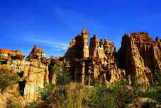 1615003343578576.png image.png