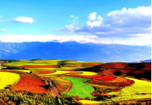 1615003590150988.png image.png