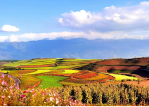 1615003600294828.png image.png