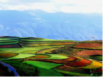 1615003607205800.png image.png